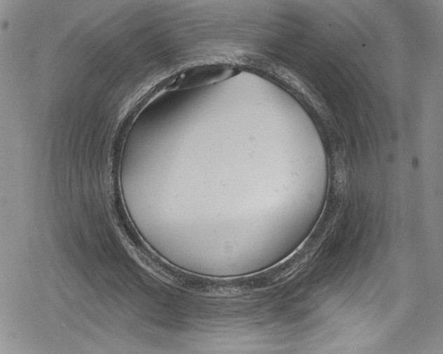 X0000078830677200612111520