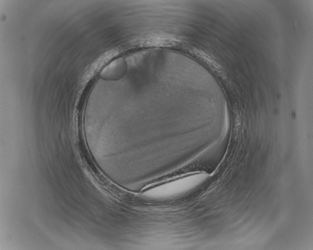 X0000078830678200612111520