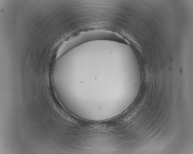 X0000078830681200612111520