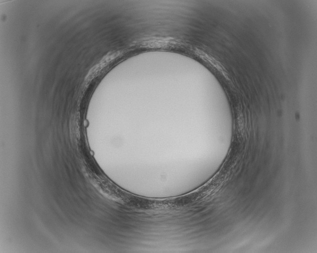 X0000078830682200612111520