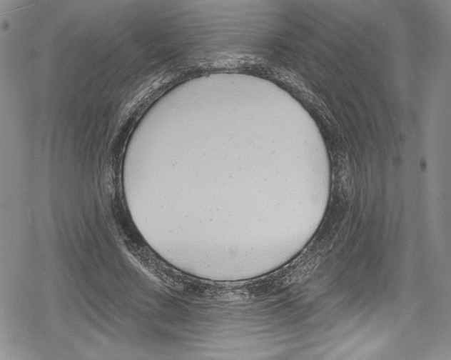 X0000078830683200612111520