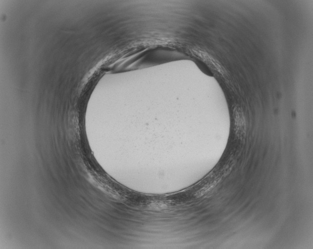 X0000078830684200612111520