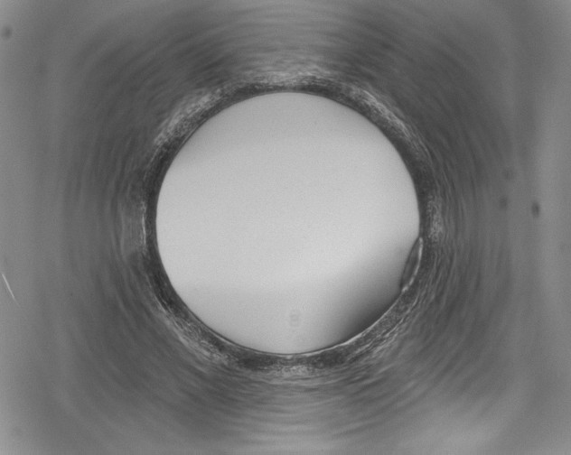 X0000078830685200612111520