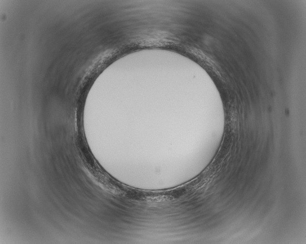 X0000078830686200612111520