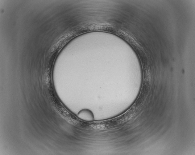 X0000078830687200612111520