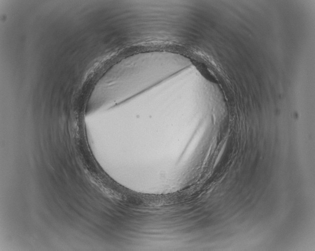 X0000078830688200612111520