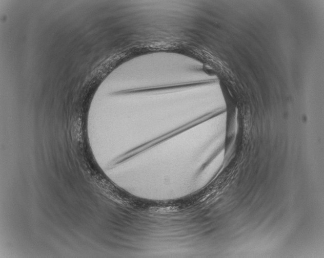 X0000078830689200612111520