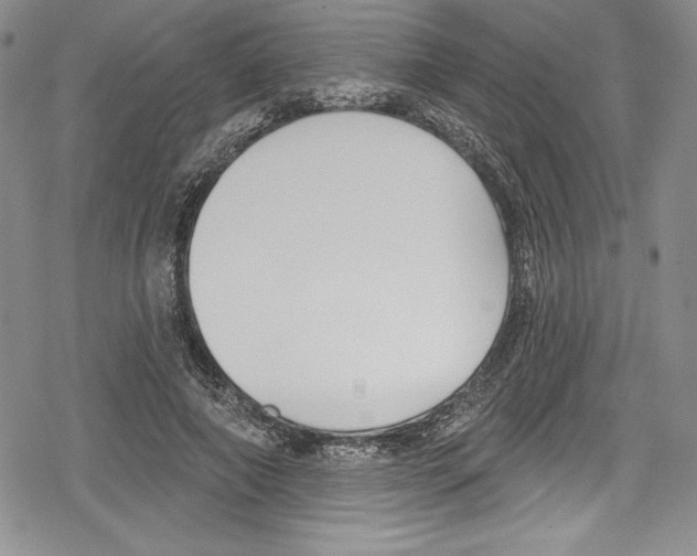 X0000078830690200612111520