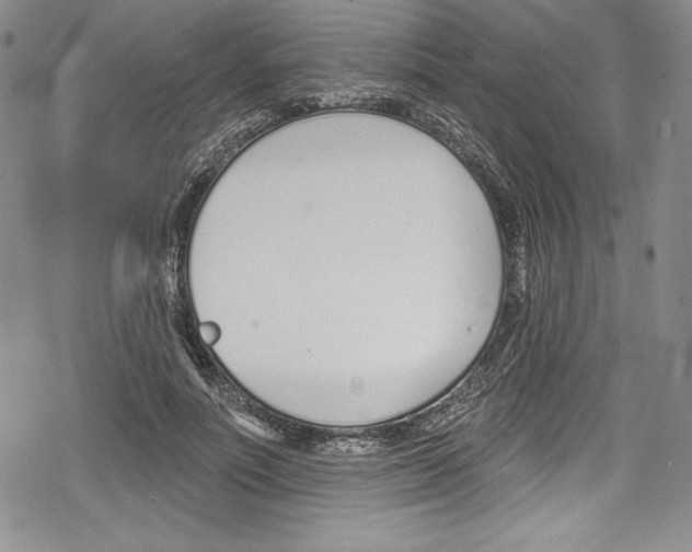 X0000078830691200612111520