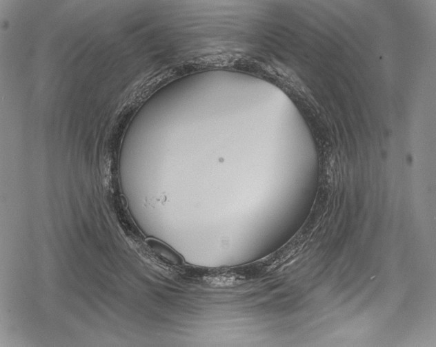 X0000078830693200612111520