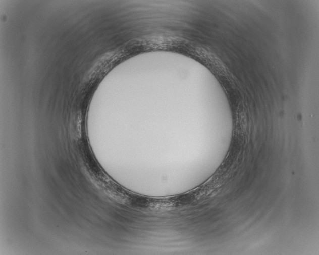 X0000078830694200612111520