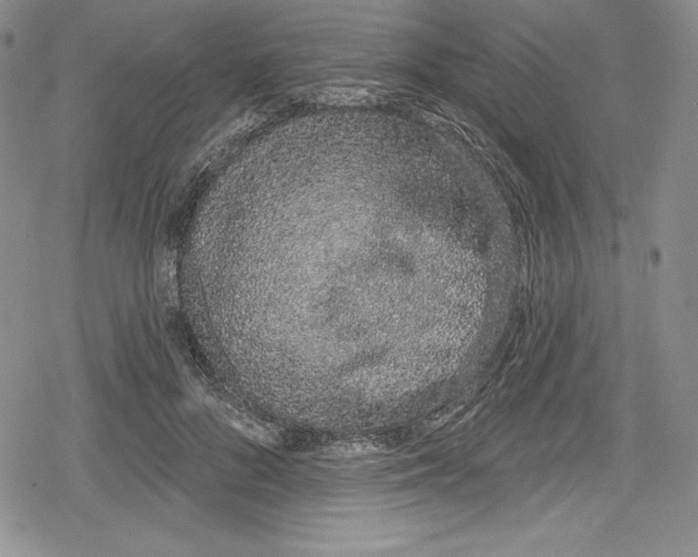 X0000078830696200612111520