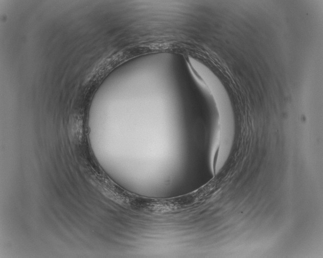 X0000078830697200612111520