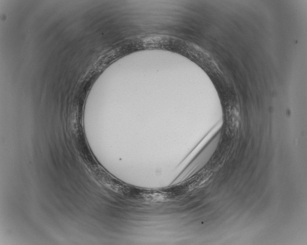 X0000078830698200612111520