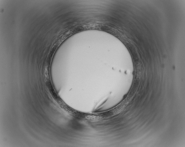 X0000078830699200612111520