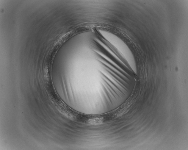 X0000078830700200612111520