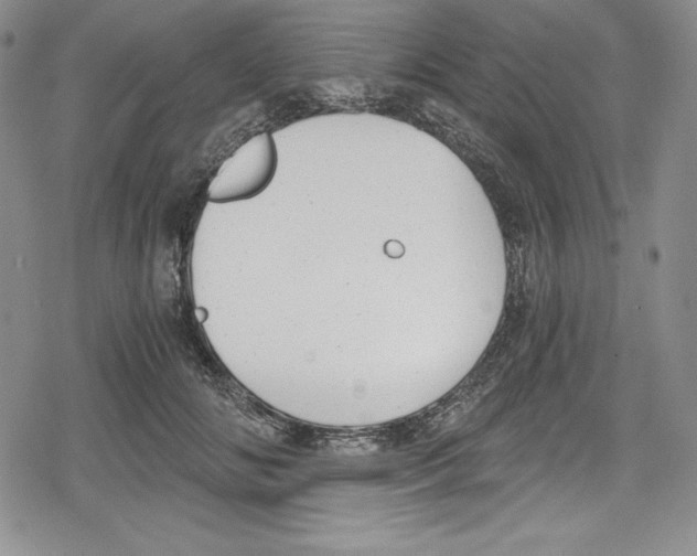 X0000078830702200612111520