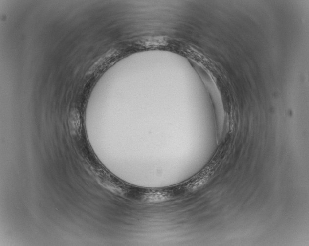 X0000078830704200612111520