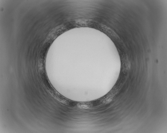 X0000078830706200612111520