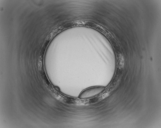 X0000078830707200612111520