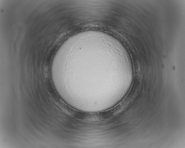 X0000078830708200612111520