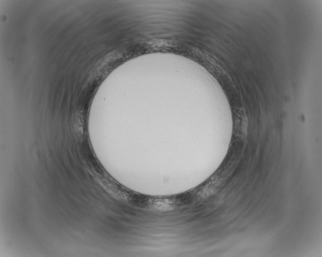 X0000078830710200612111520