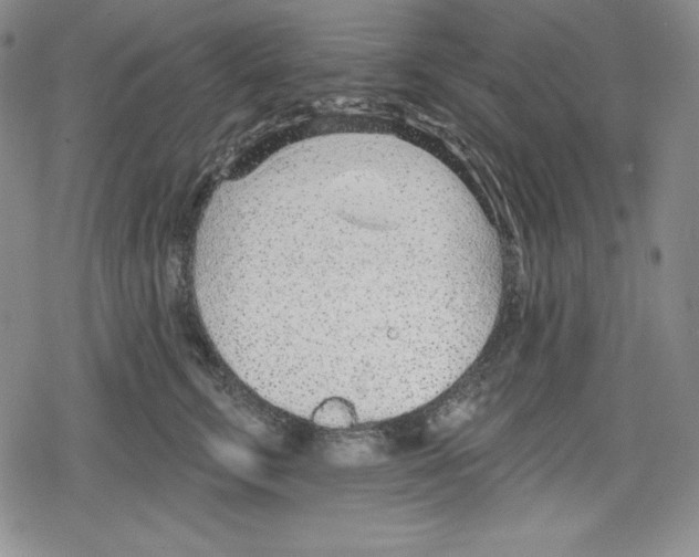 X0000078830711200612111520