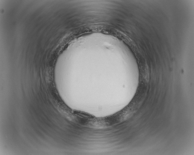 X0000078830712200612111519