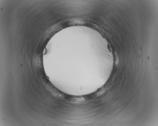 X0000078830715200612111519