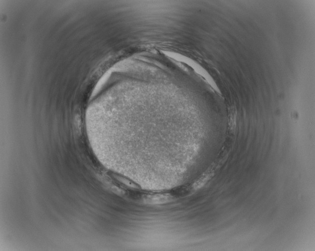 X0000078830716200612111519