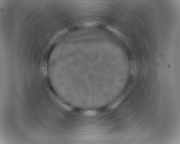 X0000078830718200612111519