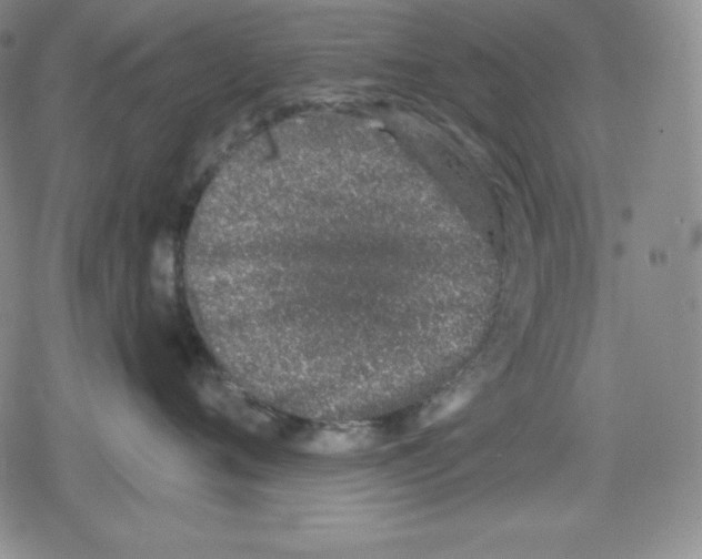 X0000078830720200612111519