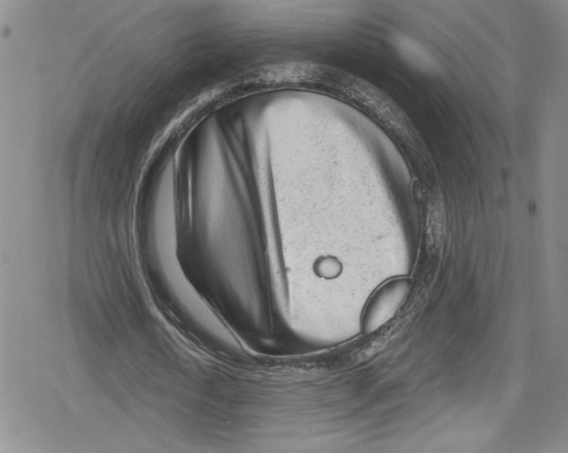 X0000078830722200612111519