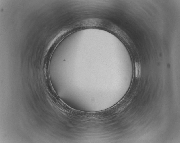 X0000078830723200612111519