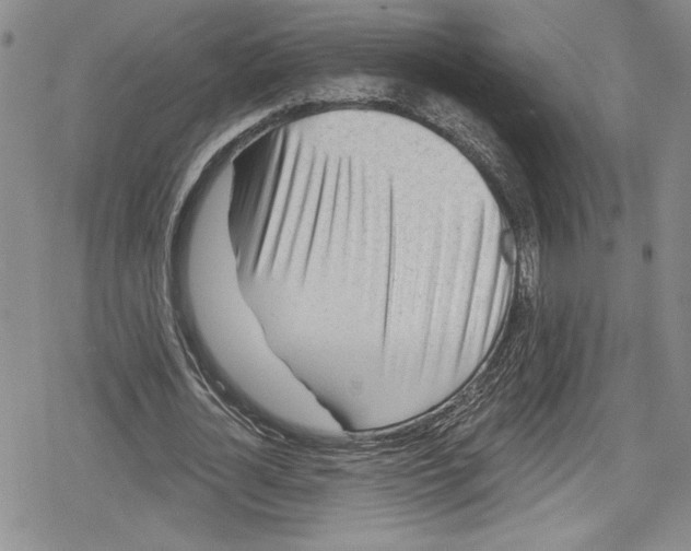 X0000078830724200612111519