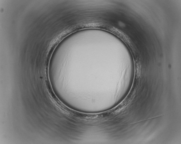 X0000078830725200612111519