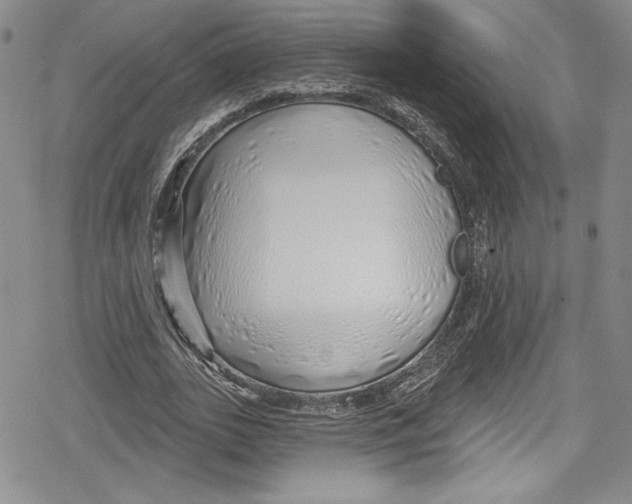 X0000078830727200612111519