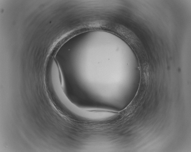 X0000078830728200612111519