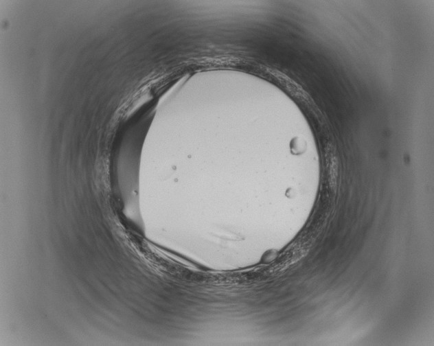 X0000078830729200612111519