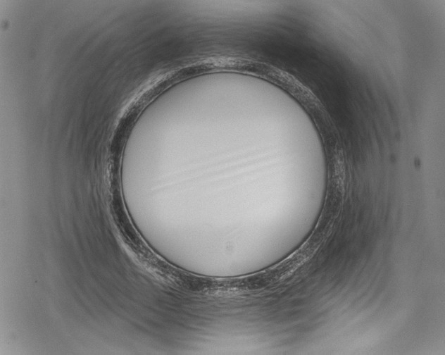 X0000078830730200612111519