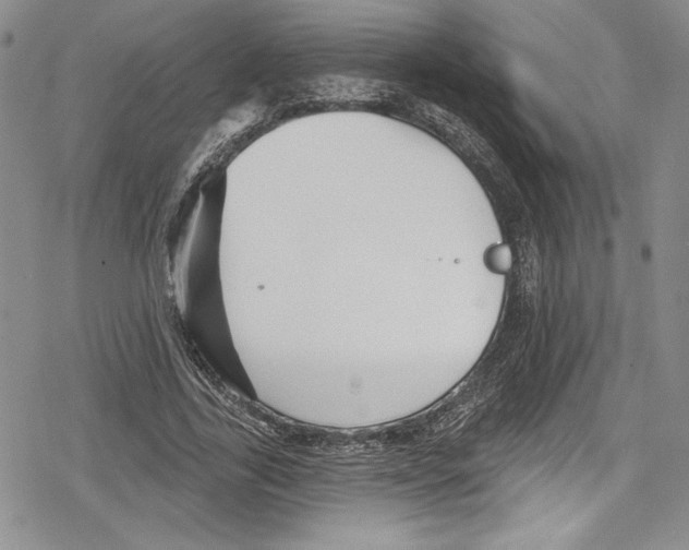 X0000078830731200612111519