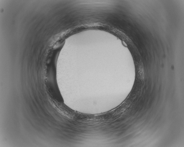 X0000078830732200612111519