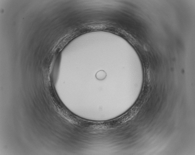 X0000078830733200612111519