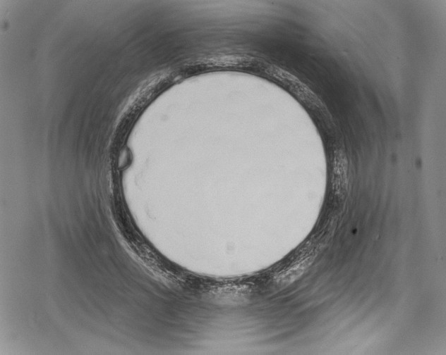 X0000078830734200612111519