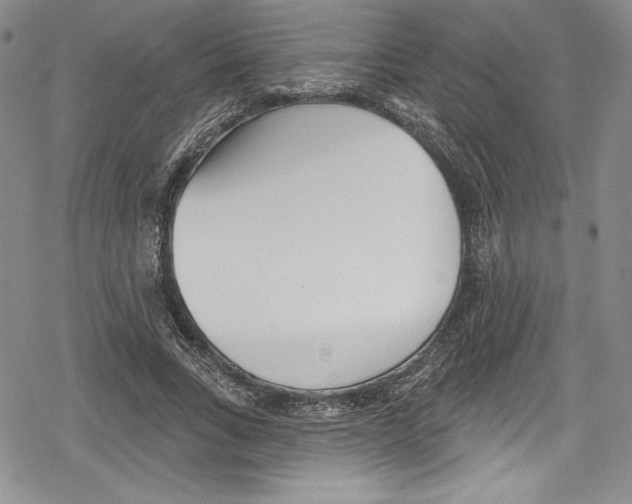 X0000078830735200612111519