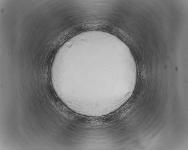 X0000078830737200612111519