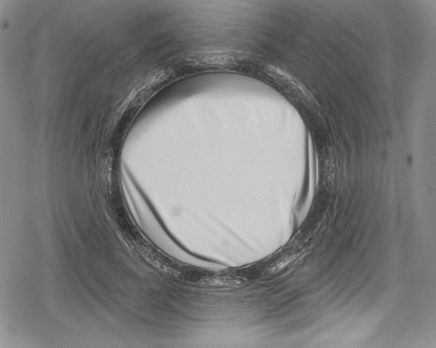 X0000078830739200612111519