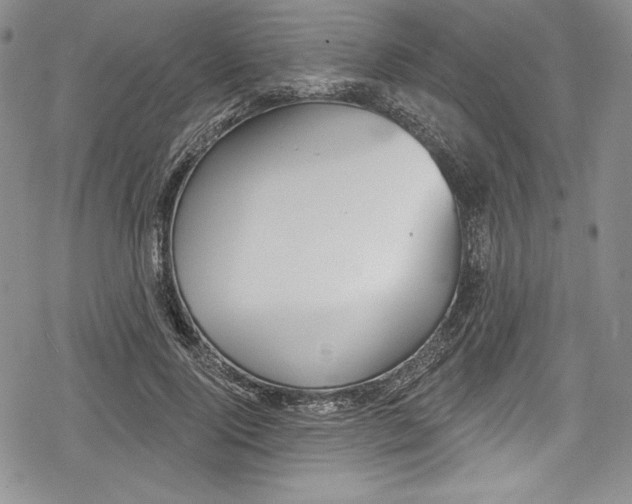 X0000078830740200612111519