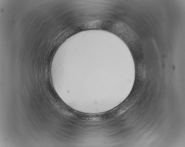 X0000078830741200612111519