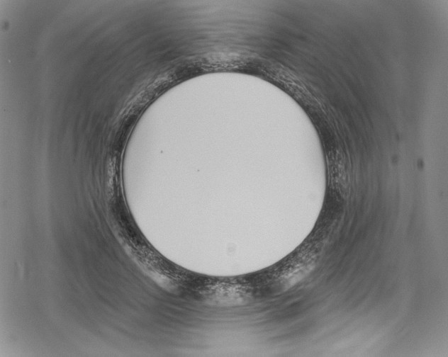 X0000078830742200612111519